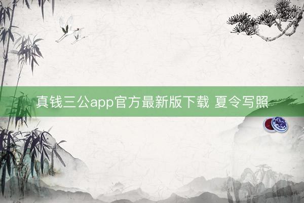 真钱三公app官方最新版下载 夏令写照